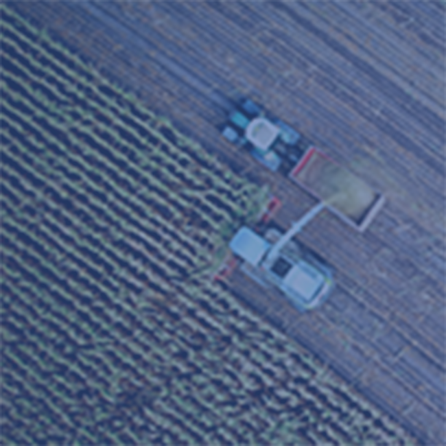 Agriculture